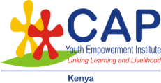 CAPYEI Systems